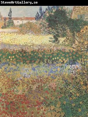 Vincent Van Gogh Garden in Bloom (mk09)